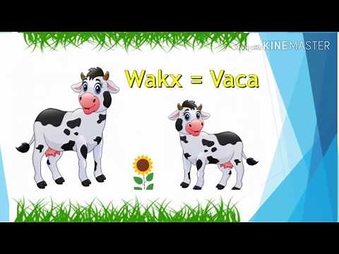 Pronunciación del nombre de los animales en Mam a Español