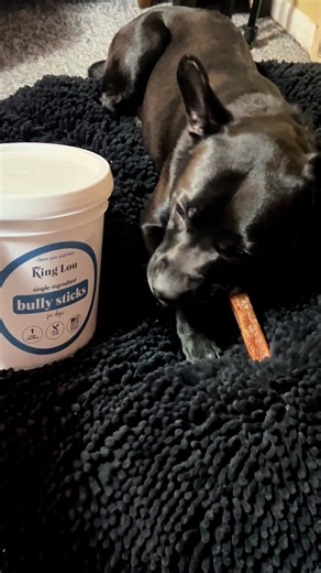 Healthy USA Grass-Fed Beef Bully Sticks for Dogs