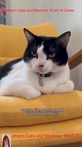 Willow’s on the Warpath. It’s all Dapper’s fault_R_002 | Kristi Cates