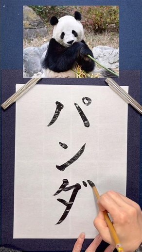 Thank you pandas 🐼💧 What's your favorite zoo animal? 💖