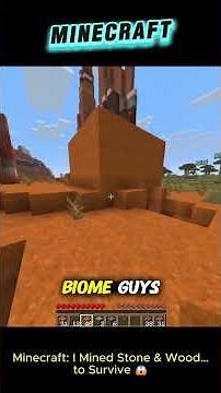 Minecraft I Mined Stone & Wood…to Survive 😱