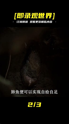 干旱地里居然能挖出活蹦亂跳的魚，不吃不喝在土墻中生存5年不死 #即錄觀世界 #紀錄片 #電影 #北極 #因紐特人
