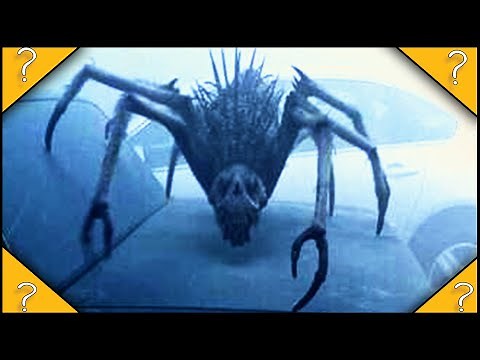 Why do the CREATURES from THE MIST only stay in the mist