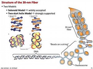 Advanced Cell Biology - Slides 47-86