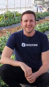 This is the ‘Timing Algorithm’ Gardeners use to avoid ‘task overload’ and grow a high output garden with little experience or relying on endless spreadsheets. As a former farmer and long-time greenthumb, I see so many gardeners and homesteaders suffer the same setback every season. Because growing a thriving garden is like babysitting an army of needy 2-year olds. With lots of plant varieties all growing at different rates and each with different needs. Which overwhelms gardeners with a ‘to-do’ 