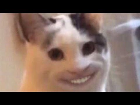 PETS are the WORST