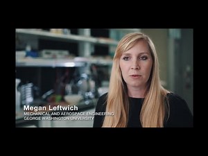 Sea Lion Inspired Research for Underwater Robotics -1