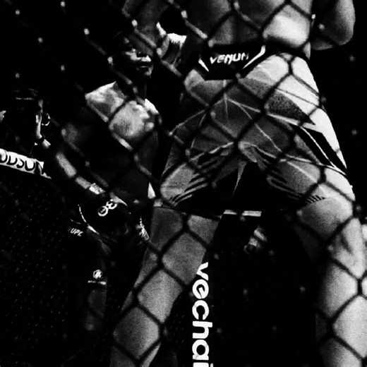 UFC Showdown: Jan Blachowicz vs. Jamahal Hill Highlights