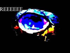 30 African Bull Frog sound variations