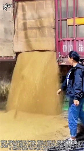 보고 있으면 힐링되는 곡물 하역의 신세계 #worker #process #satisfying #farminglife #amazing