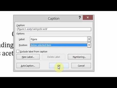 MS Word 2013 Figure captions & Table of Figures