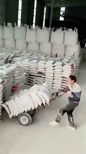 Use this tool to move goods, no more fear of being tired!