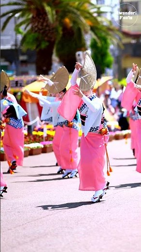 【阿波踊り】美しすぎる女踊り！うずき連