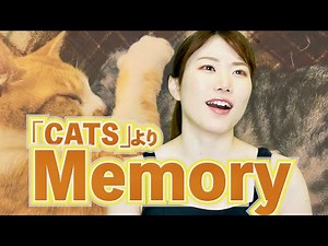オペラ歌手が歌う【キャッツ♪メモリー】cats memory