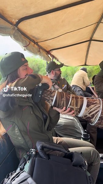 Exploring the Prehistoric Shoebill: A Photography Tour