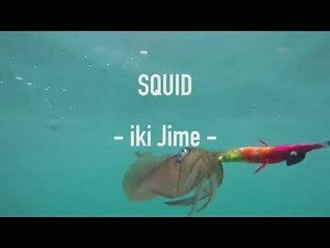 squid Iki Jime