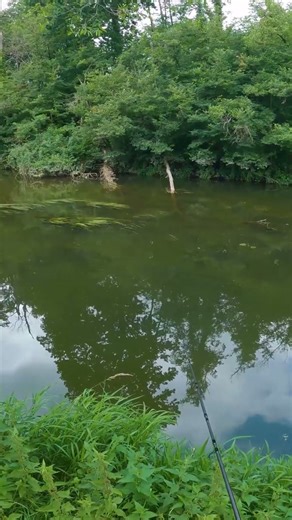 River fishing reimagined – dream fish over 20 kilos