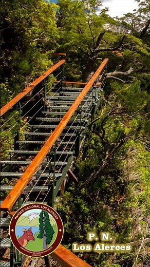 🌳Parque Nacional los Alerces, ESQUEL Chubut | Ruta 40 Patagonia Argentina #ruta40