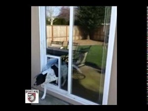 In Glass Security Boss MaxSeal Pet Door - Moore Pet Supplies LLC