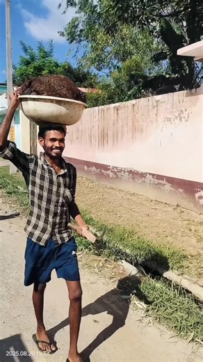 When video reach wrong audience pt 476 | Funny instagram comments | As Comments Reader #shorts