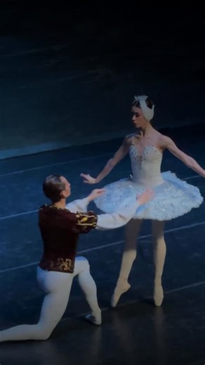 A timeless masterpiece that continues to captivate audiences worldwide ✨ Swan Lake is the poetry of classical ballet, a powerful story of love, magic, destiny Don’t miss your chance to see Swan Lake live in Coral Springs. Join us and let this legendary ballet enchant you 🎟 Tickets are still available via the link in our bio December 27th Swan Lake Coral Springs Center for the Arts 7:00 PM 🩰 | International Ballet Stars