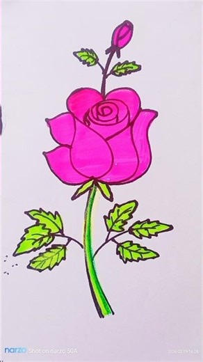 How to draw Rose flowers 🌹#viralshort #drawing #flowers