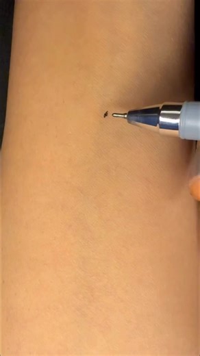 Incredible Tattoo Designs from Tattoo Artists