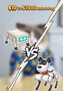 Robot Dog Battle: $10 vs $1000