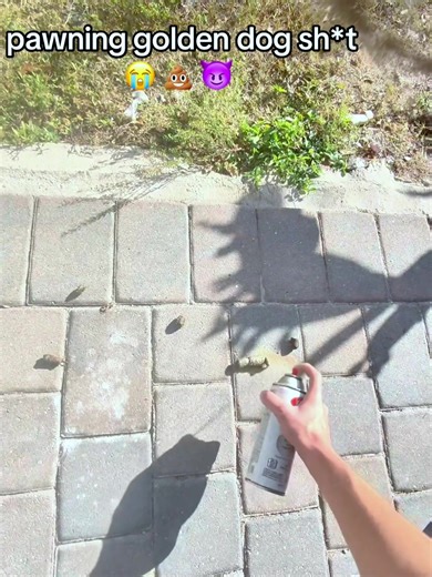 Hurricane Melissa has made landfall in Jamaica as a Category 5 hurricane - one of the most powerful hurricane landfalls on record in the Atlantic basin. #hurricane #jamaica #weather #news #abcnews