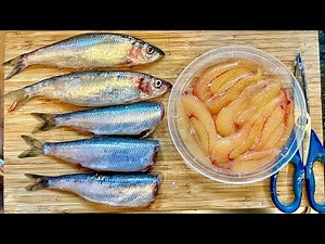 Freshly Caught Herring Recipe - Pan Fried and Roe Sac Tasting