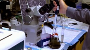 Watch Futurescape with James Woods Season 1 Episode 3 - Cheating Time