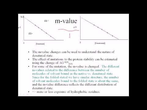 m value of protein folding