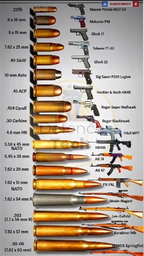 Bullet & Gun Caliber Comparison 🔫 | Ammo Size vs Weapons (Visual Guide) #shorts