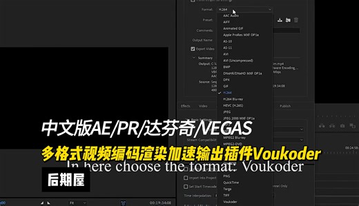 中文版AE/PR/达芬奇/VEGAS多格式视频编码渲染加速输出插件Voukoder v13.4.1