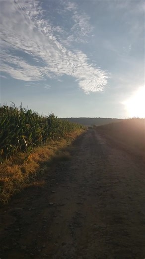 150K views · 3.1K reactions | Maria Rodriguez Pulido on Reels | Facebook