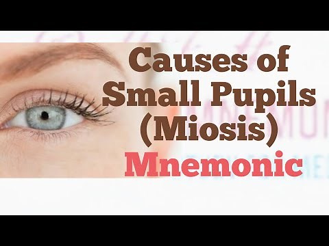 What are the Causes of Small Pupils (Miosis) Mnemonic