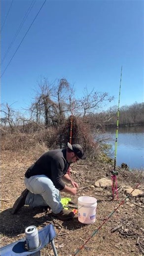 Catfishing with jello chicken, chasing channel cats!