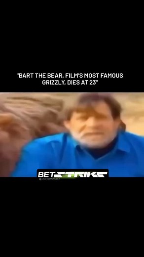 On May 10, 2000, Bart the Bear, one of Hollywood's most renowned animal actors, died at his home in Utah after a battle with cancer. He was 23 years old. Born in 1977, the Alaskan Kodiak bear was raised and trained by Doug Seus and his wife, Lynne, beginning when he was a cub. Bart appeared in numerous films and television shows, with his most memorable roles including the lead in Jean-Jacques Annaud's 1988 film The Bear and a poignant scene with actor Brad Pitt in 1994's Legends of the Fall Wei