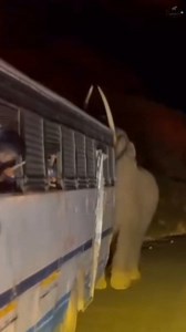 772K views · 10K reactions | Munnar, Idukki | Gajarajanmar | Facebook