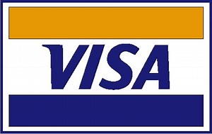 Check Your Visa Gift Card Balance - VidaBytes