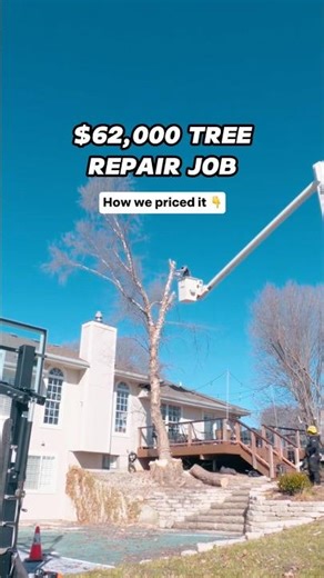 Can you REPAIR a tree after it’s been DESTROYED?