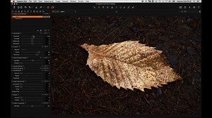 Is 15 seconds enough to improve your Capture One skills? Probably not! So why don't you check out the free upcoming Capture One webinars we have for you? http://bit.ly/c1webinars | Phase One