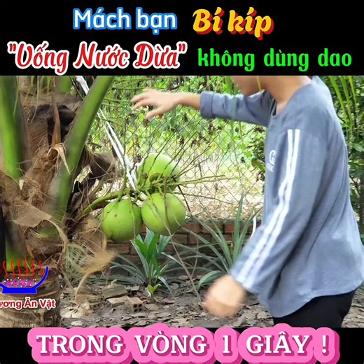 Cách Bổ Dừa Không Cần Dao Chặt