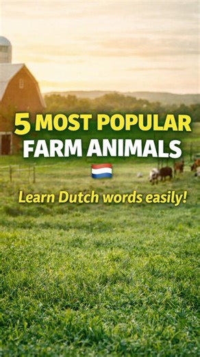 5 Popular Farm Animals in Dutch 🇳🇱