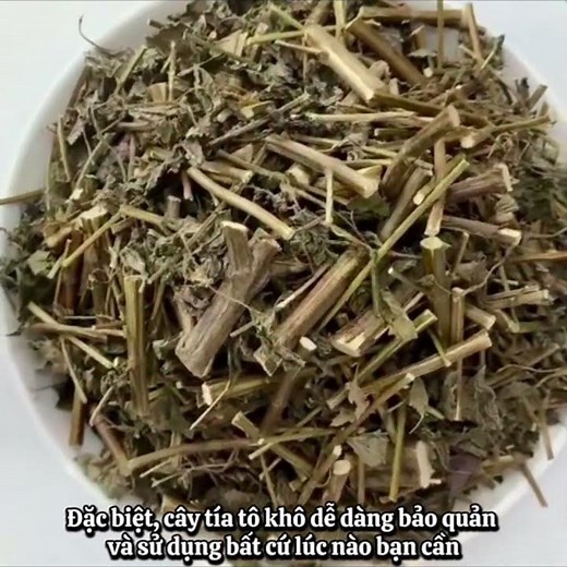 Tía Tô Khô - Thảo dược thiên nhiên giúp thanh nhiệt, hỗ trợ tiêu hóa và chăm sóc sức khỏe