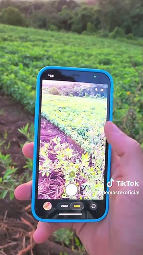 Top iPhone 12 Camera Tips and Tricks You Need