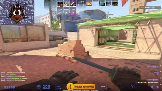 ELO GAINER !farmskins !dm