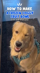 1.5K views · 3 comments | Your pet's wellness is our priority—but we also believe they deserve safe, tasty summer treats! We’re sharing a fun, vet-approved snack idea your dog will love. Would you try it out? Let us know in the comments:  = Strawberry Cucumber Fan 𢡄 = Team Blueberry All the Way | VIP Petcare | Facebook