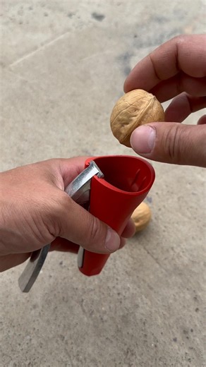 The Fastest Nut Peeling Trick You’ll Ever See!