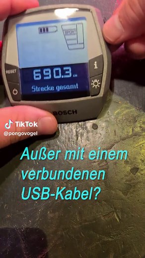 Bosch Intuvia Display reparieren und wechseln